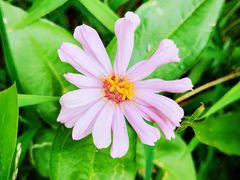 -天津东丽湖风景区