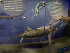 -国家自然博物馆