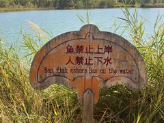 -金塔沙漠胡杨林景区