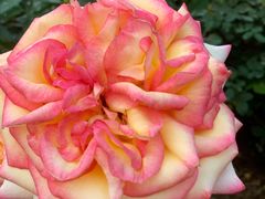 -人民公园(罗湖区)