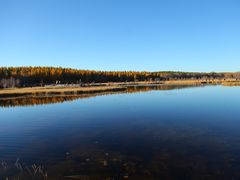 -塞罕坝国家级自然保护区