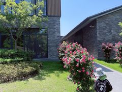 -天目湖涵田度假村