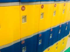 -极动室内恒温游泳馆