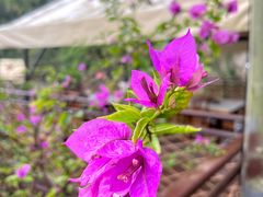 -伴山茶苑·围炉煮茶