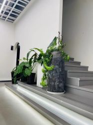 -蚂蚁造型俱乐部