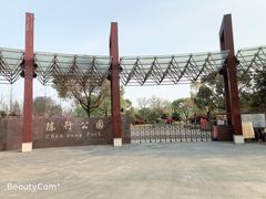 -陈行公园