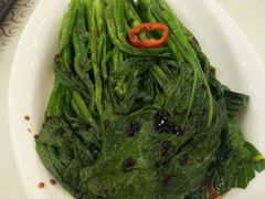 白灼靓菜心-嘉禧大酒楼(康城广场店)