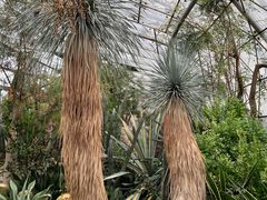 -北京植物园-展览温室