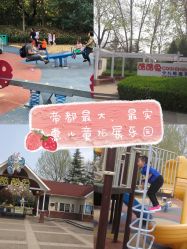 -酷酷兔少儿拓展天地