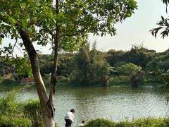 -鹤之洲湿地公园