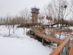 -东郊湿地公园