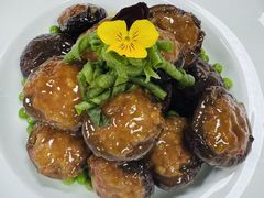 -海派美食·家宴海鲜青岛菜·石锅鲽鱼头(东方城店)