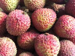 妃子笑荔枝-雨露空间(嘉善施家店)