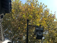 -大叔家福鼎小吃(十全街店)