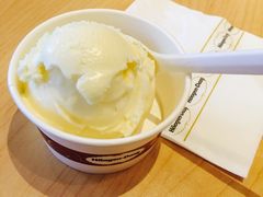 -哈根达斯(西安北郊店)