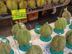 -油麻地果栏