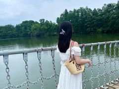 -东湖落雁景区