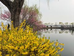 -无锡蠡湖国家湿地公园-蠡园