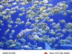 -上海海昌海洋公园