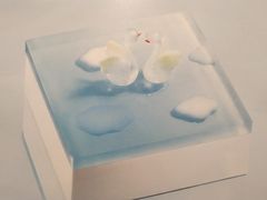 -BLACKSWAN黑天鹅(环球店)