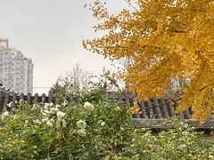 -大钟寺古钟博物馆