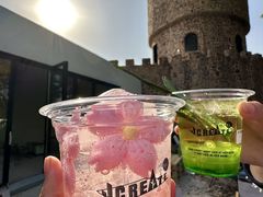 -J Create城市露营咖啡·简餐·宠物(上海动物园店)