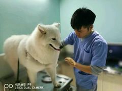 -哆趣宠物医院·眼科·内镜·急重症转诊中心(上海店)