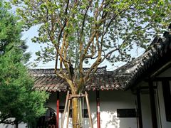 -水绘园