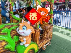 -南湖梦幻岛