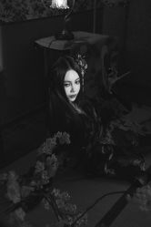 -瞳摄影写真旗舰店