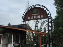 -金山农民画村-枫泾波兰倒置屋