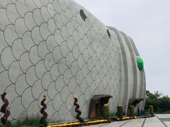 -泗洪洪泽湖湿地景区