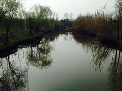 -溱湖国家湿地公园