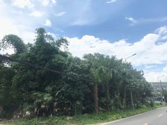 -铁山坪森林公园