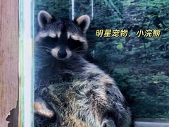 -中集金地美兰城