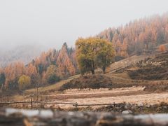 -芦芽山旅游度假区
