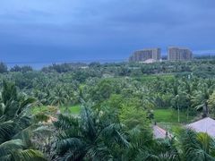 -海南清水湾莱佛士酒店