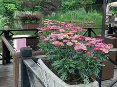 -茅庐·川粤精品私房菜(金沙遗址店)