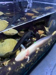 -Zoolung Zoolung动物主题公园(海信广场店)