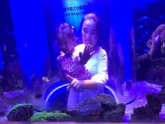 -芜湖新华联大白鲸海洋公园