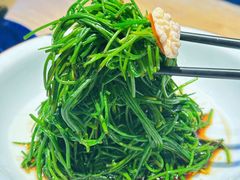 -蒙料·手把肉(望京店)