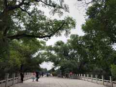 -北陵公园