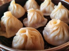 -罗卜李包子羊肉汤