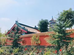 -金城公园
