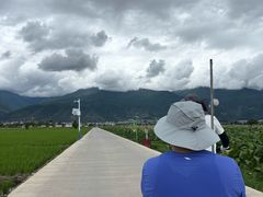 -大理洱海