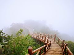 -大岭沟猕猴桃谷风景区