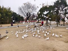 -东台西溪天仙缘景区