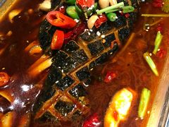 -素虎小呆鸟(西二旗店)