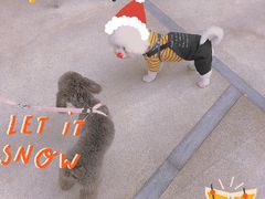 -1Cake壹刻蛋糕(奥体公园味觉艺术馆店)