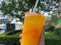 -CoCo都可(文星广场店)